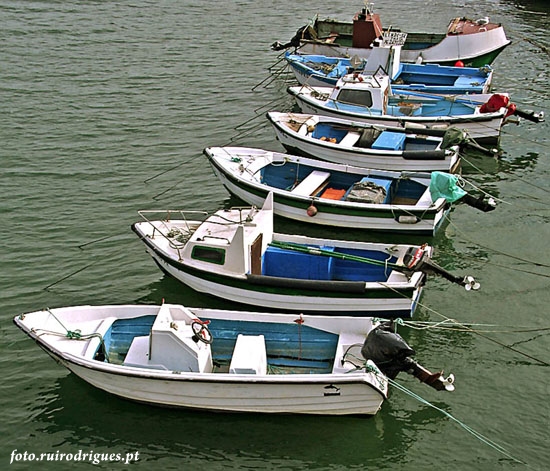 Boat gathering