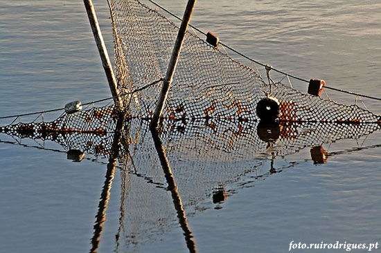 Fishing net