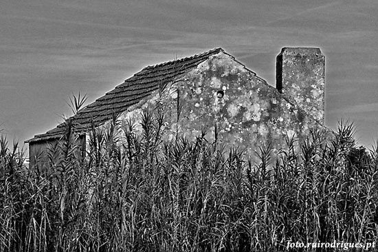 Old house