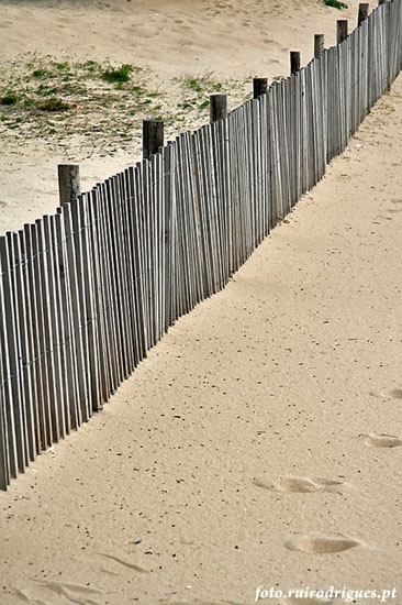 Picket fence