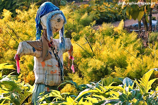 Scarecrow