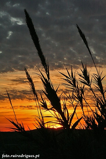 Sundown