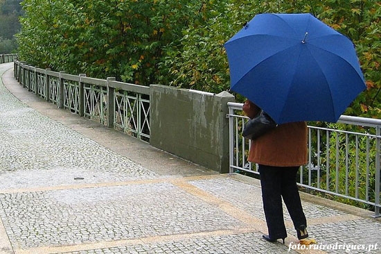 blue_rain