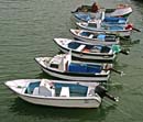 Boat gathering