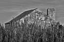 Old house