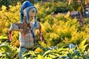 Scarecrow