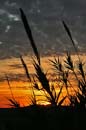 Sundown